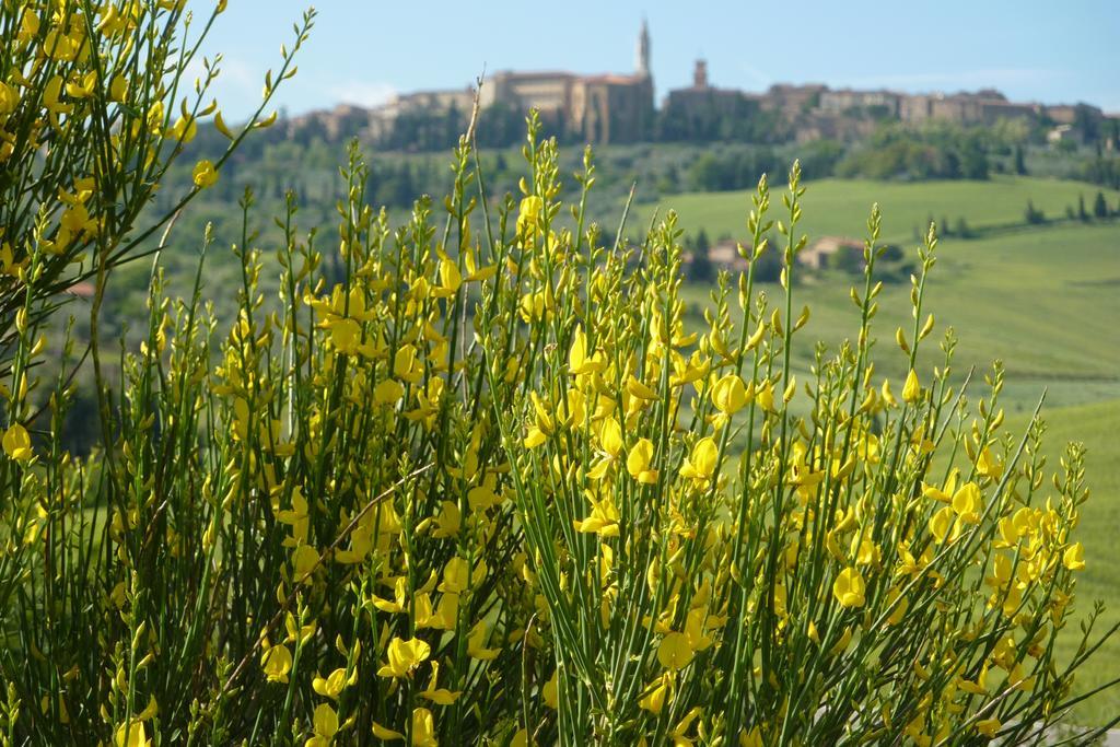 Camere Andrei Pienza Buitenkant foto